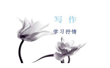 以物抒情的作文300字6篇