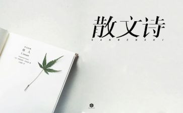 写抒情的作文300字8篇