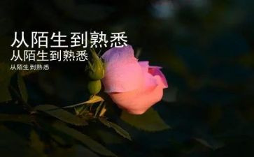 你熟悉的人作文400字5篇