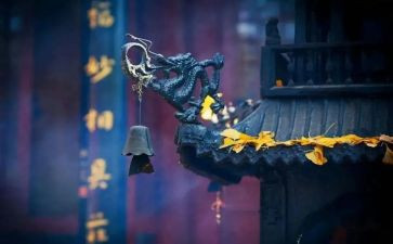 寺管干部培训心得体会精选8篇