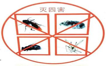 幼儿园除四害工作计划7篇