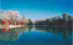 描写四季的作文通用7篇