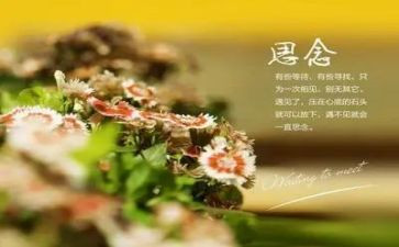 秋的思念作文600字5篇