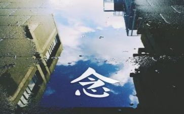 秋的思念作文500字6篇