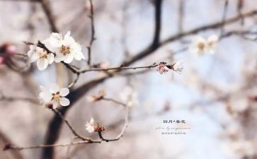 写四月的作文参考7篇
