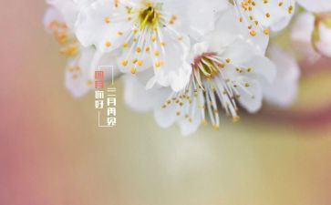 人间四月天作文通用6篇