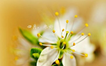 四月酒店工作计划5篇