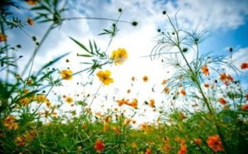 人间四月天作文7篇