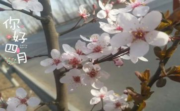 2024年四月工作总结模板5篇