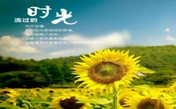 知青岁月的心得体会5篇