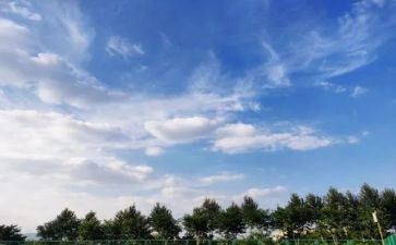 所闻所见的作文参考7篇