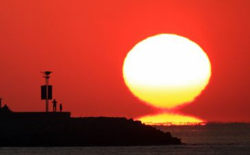 语言绿太阳教案8篇