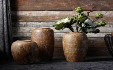 《陶罐和铁罐》的读后感5篇