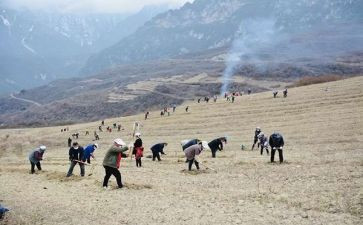 特岗教师成长心得体会6篇