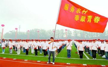 特岗教师心得体会优质5篇