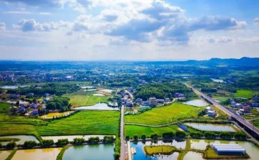 特岗述职报告精选5篇