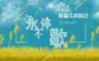 一件尴尬的事作文500优质5篇