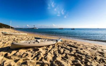 风的脚步作文优秀8篇