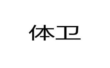 2024年学校体卫艺工作总结6篇