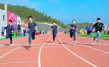 小学体艺术工作总结8篇