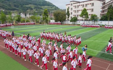 幼儿体育活动方案模板5篇