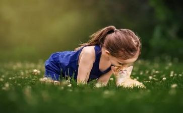 六一童趣活动方案6篇