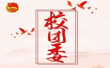 院团委工作计划参考6篇
