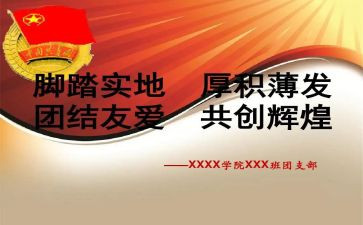 团支部工作年度总结5篇
