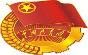 团组织工作汇报材料8篇
