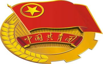 团组织工作总结6篇
