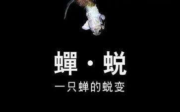 虾的蜕变作文5篇