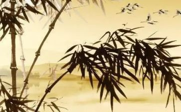 托物言志鹰的作文精选7篇