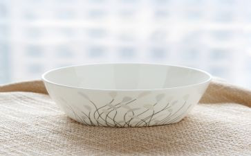 碗的作文素材高中作文6篇