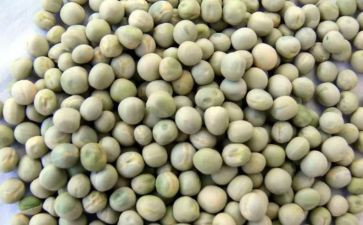剥豌豆教案6篇