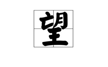 2024我有一个愿望作文推荐7篇