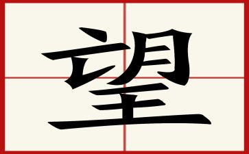 愿望的实现阅读后感6篇