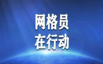 网格员个人年度总结6篇