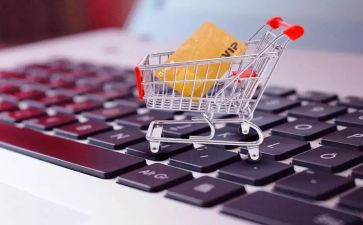 2024年网购调查报告范文7篇