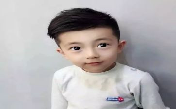 读后感小王子500字优秀8篇