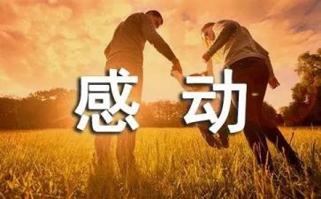 作文感动800字模板7篇