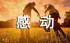 作文感动800字模板7篇