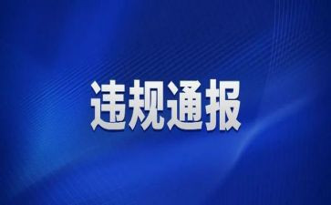 违规办企业自查报告7篇