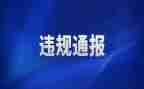 违规办企业自查报告7篇