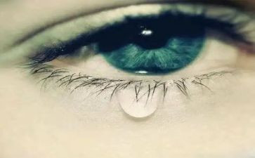 受委屈的滋味作文6篇