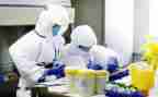 2024年学校卫生室工作总结8篇