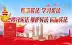 争做宪法小卫士心得体会8篇