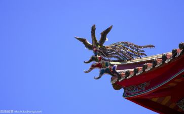 文化培训心得体会模板6篇