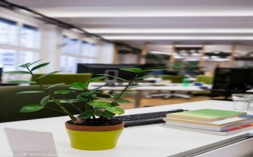 文员月工作总结与计划8篇