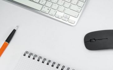 2024年文员个人年终工作总结优秀6篇