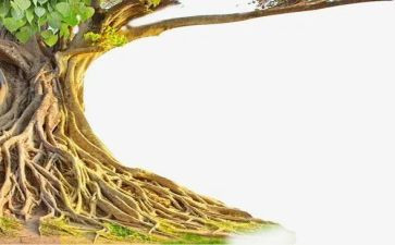 故乡是我的根作文模板7篇